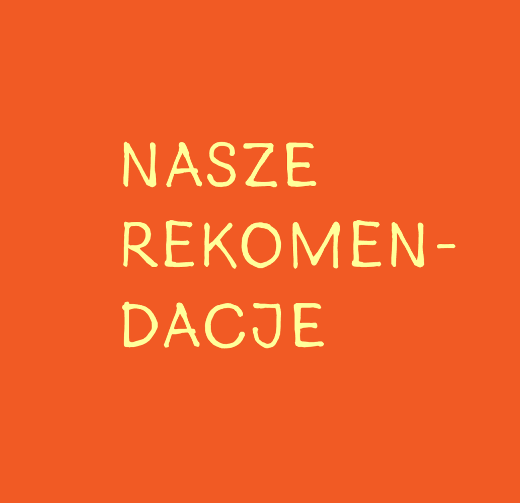 Rekomendacje z projektu